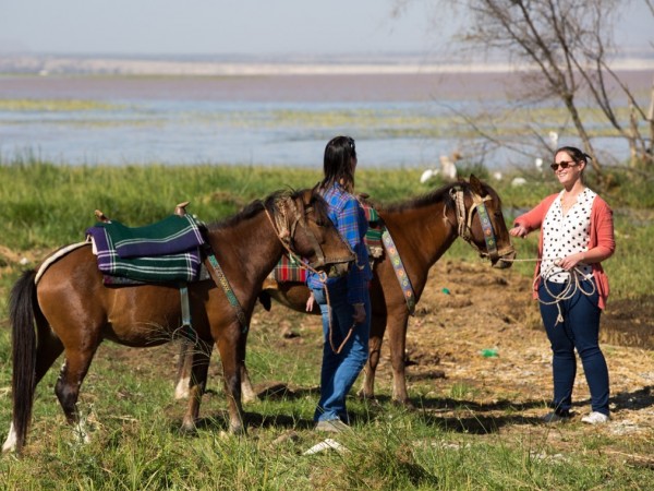 Horse Riding