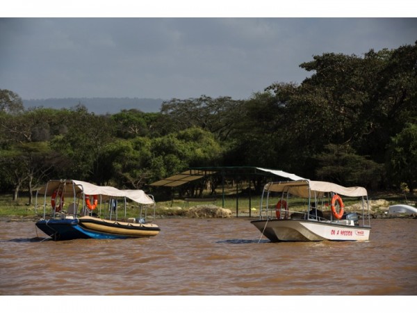 Boat Trips