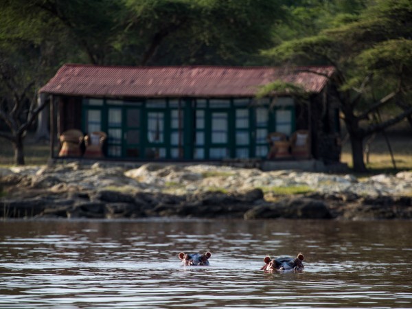 Hippo by Lakeside Lodge